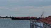 Enlarge MPEG4 15