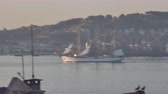 Enlarge MPEG4 8