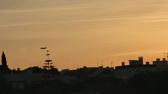 Enlarge MPEG4 8