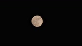 Enlarge MPEG4 21