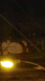 Enlarge MPEG4 6