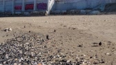 Enlarge MPEG4 5