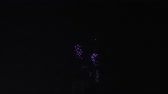 Enlarge MPEG4 19