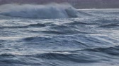 Enlarge MPEG4 18