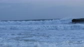 Enlarge MPEG4 19