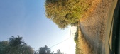 Enlarge photo 53