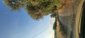 Enlarge photo 54