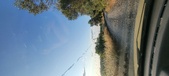Enlarge photo 55