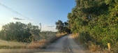 Enlarge photo 56