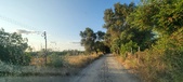 Enlarge photo 57