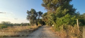 Enlarge photo 58