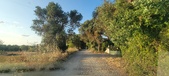 Enlarge photo 59