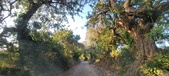 Enlarge photo 60