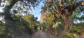 Enlarge photo 61