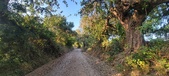 Enlarge photo 62