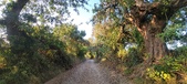 Enlarge photo 63