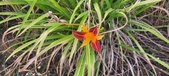 Enlarge photo 27