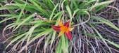 Enlarge photo 26
