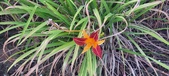 Enlarge photo 28