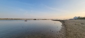 Enlarge photo 72