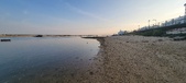 Enlarge photo 73