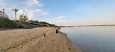 Enlarge photo 77
