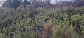 Enlarge photo 82