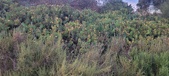 Enlarge photo 83