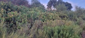 Enlarge photo 84