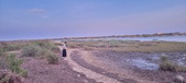 Enlarge photo 85