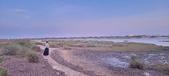 Enlarge photo 86