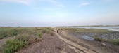Enlarge photo 87