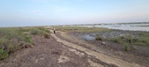 Enlarge photo 88