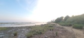 Enlarge photo 90