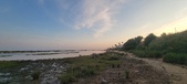 Enlarge photo 91