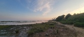 Enlarge photo 93
