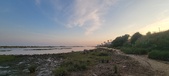 Enlarge photo 94