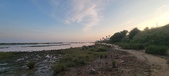 Enlarge photo 95