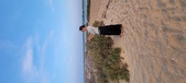 Enlarge photo 101