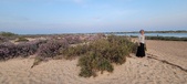Enlarge photo 109