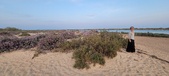Enlarge photo 110