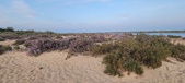Enlarge photo 111