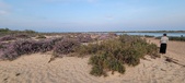 Enlarge photo 112