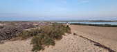 Enlarge photo 113