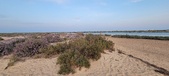 Enlarge photo 115