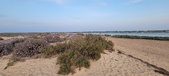Enlarge photo 116
