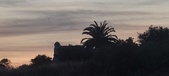 Enlarge photo 157