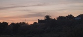 Enlarge photo 159