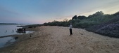 Enlarge photo 501