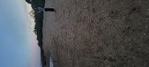 Enlarge photo 505